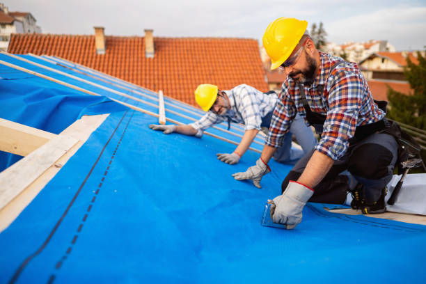 Best Storm Damage Roof Repair  in West Carthage, NY