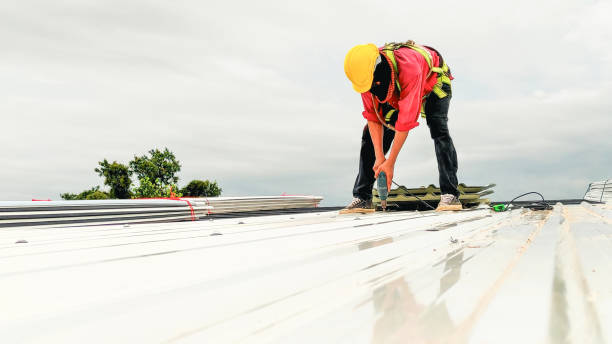 Best Roof Maintenance and Cleaning  in West Carthage, NY